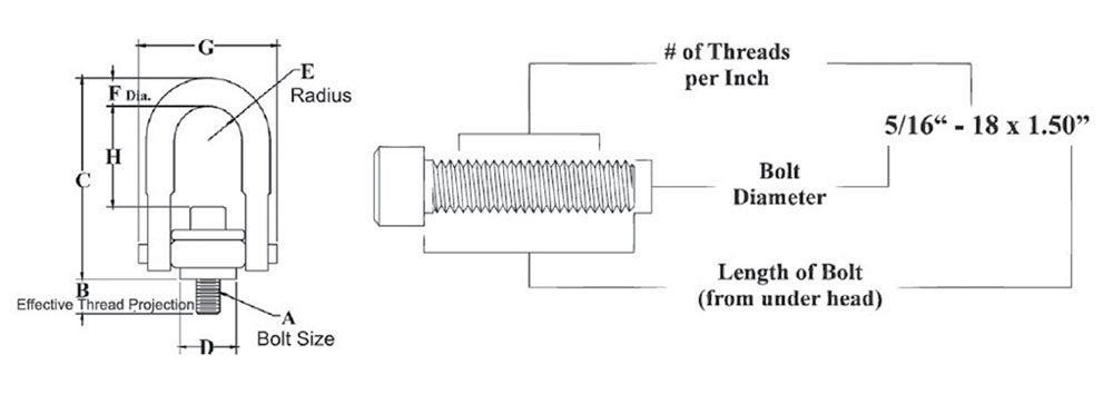 Metric Swivel Hoist Rings