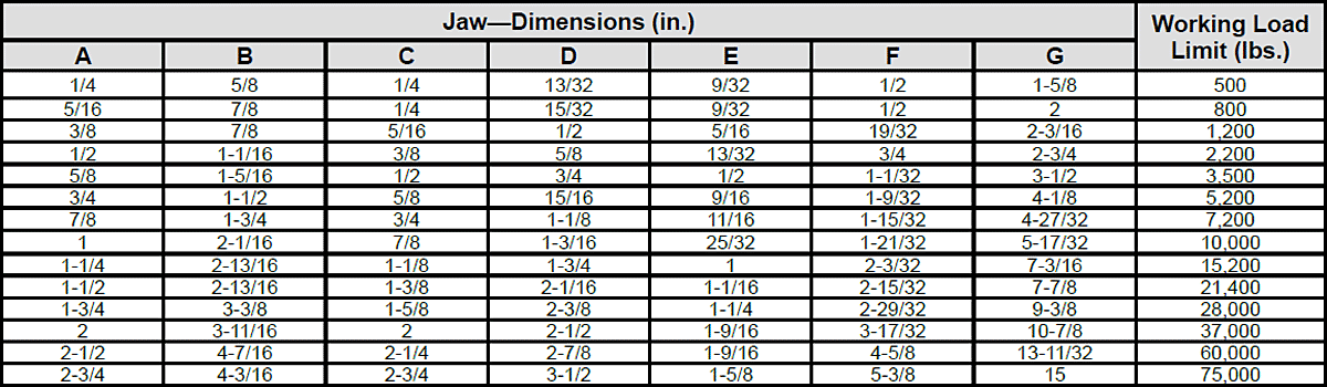 Jaw—Dimensions & Strength