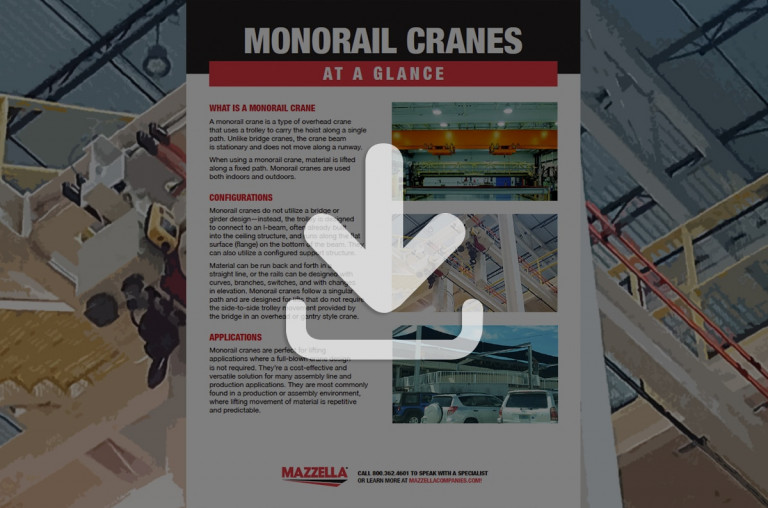 Monorail Cranes At A Glance [Guide]