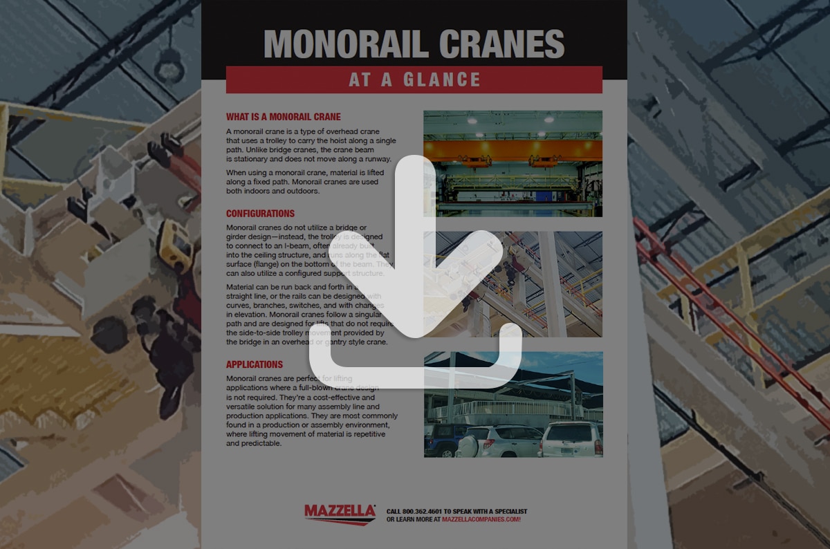 Monorail Cranes At A Glance [Guide]