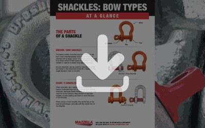 Shackles At A Glance Guide