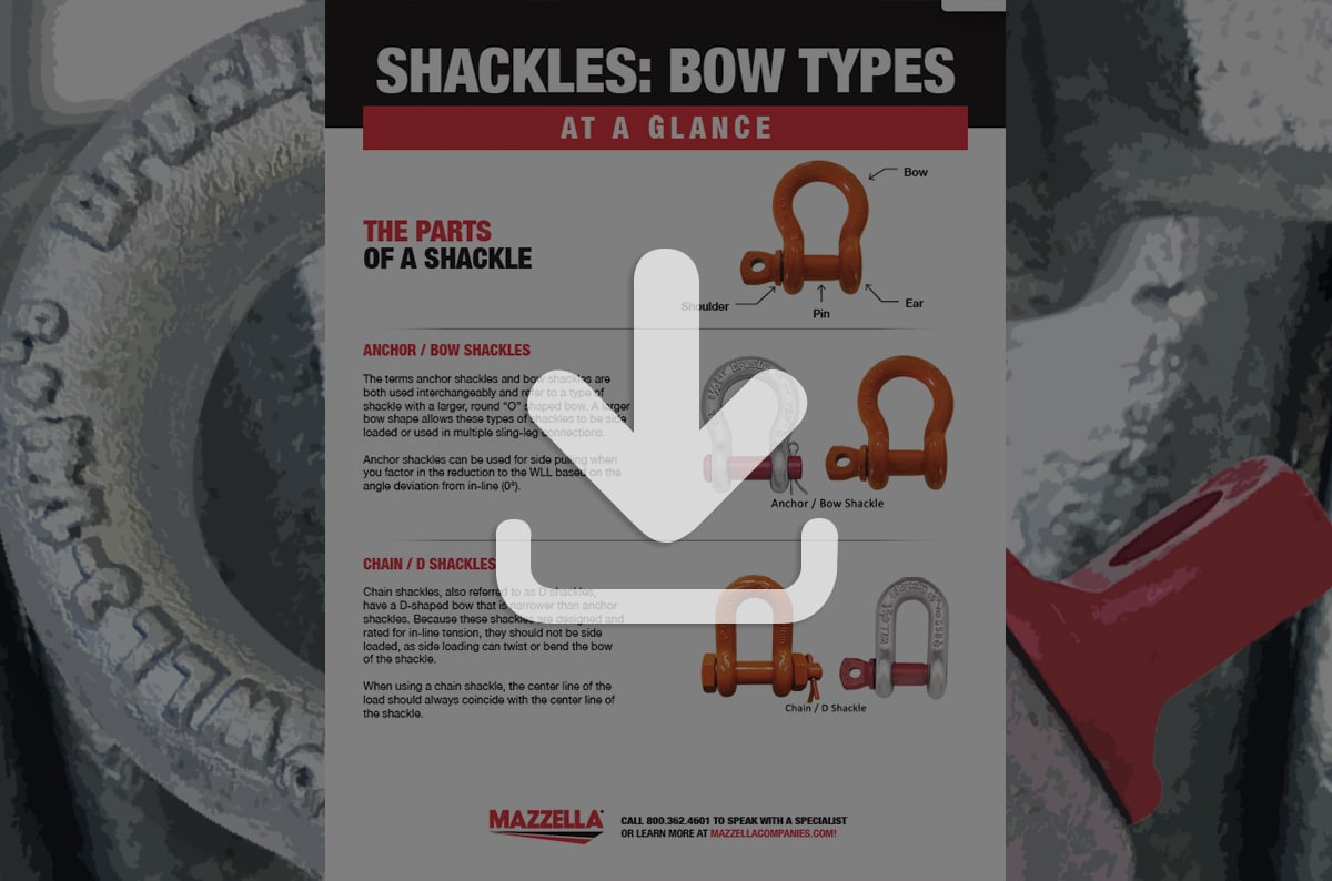 Shackles At A Glance [Guide]