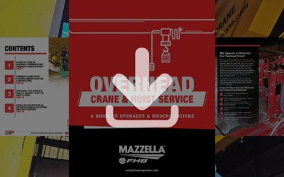 Overhead Crane & Hoist Service E-Book: Resource