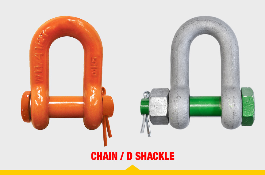 Different Types of Shackles: Chain / D Shackle