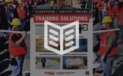 Training Solutions: Literature