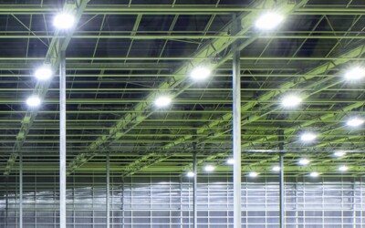 Is an Industrial LED Retrofit Right for Your Facility?: Industrial LED Lighting