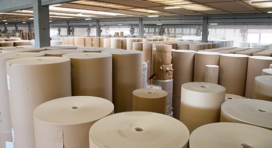 Mazzella Serves Paper Mill Industry