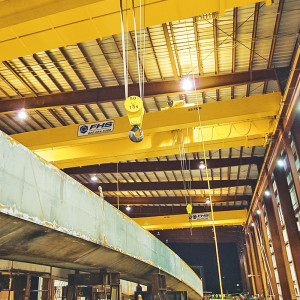 Bridge Cranes