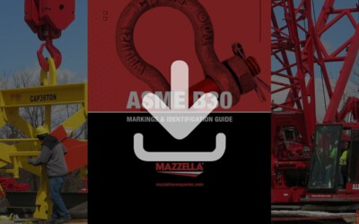 ASME B30 Markings & Identification Guide: Resource