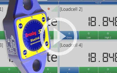 Crosby Straightpoint Load Cells: Background, Uses, and Different Types: Video