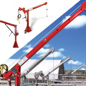 Davit Cranes