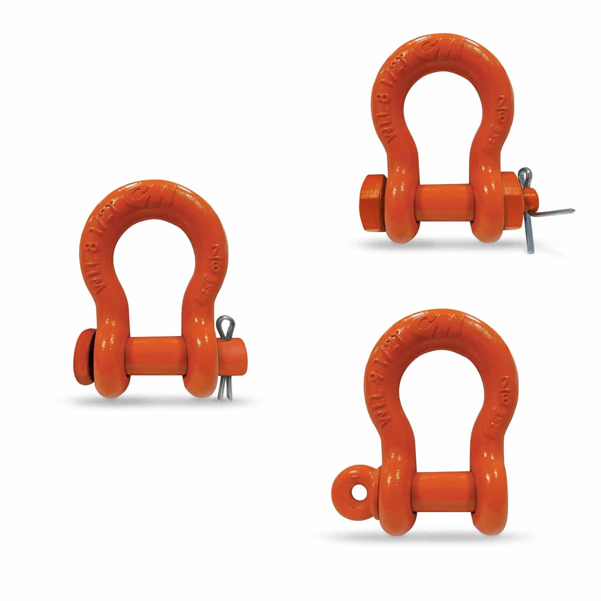 CM Anchor Shackles