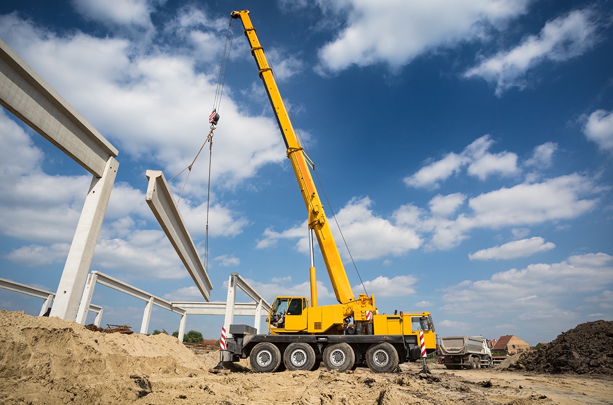 The Parts of a Crane and Their Purpose