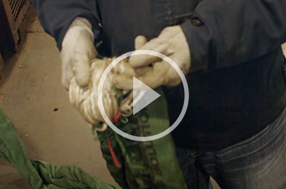 How Does Damage on Synthetic Web Sling Affect Working Load Limit?