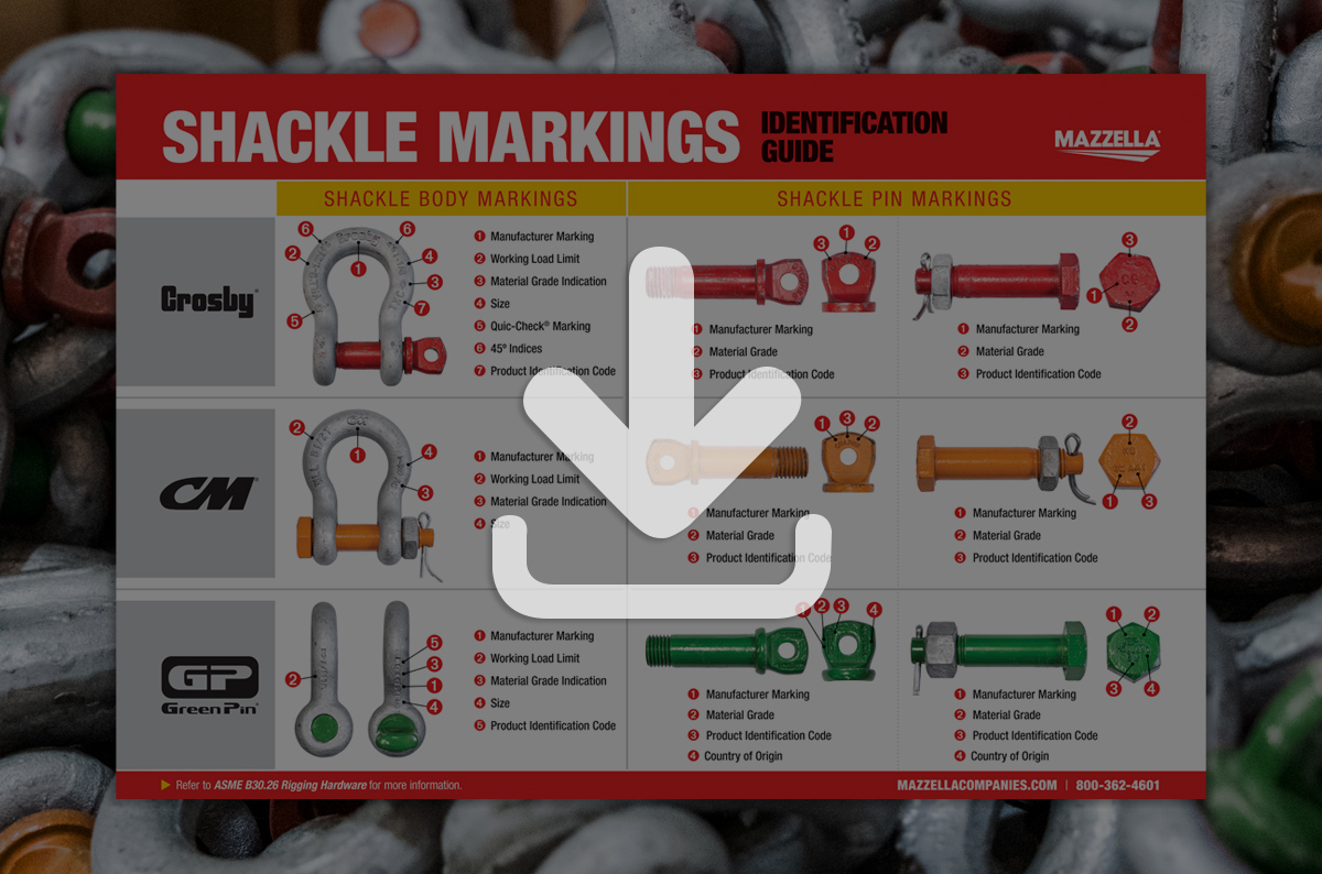 Shackle Markings Identification [Guide]