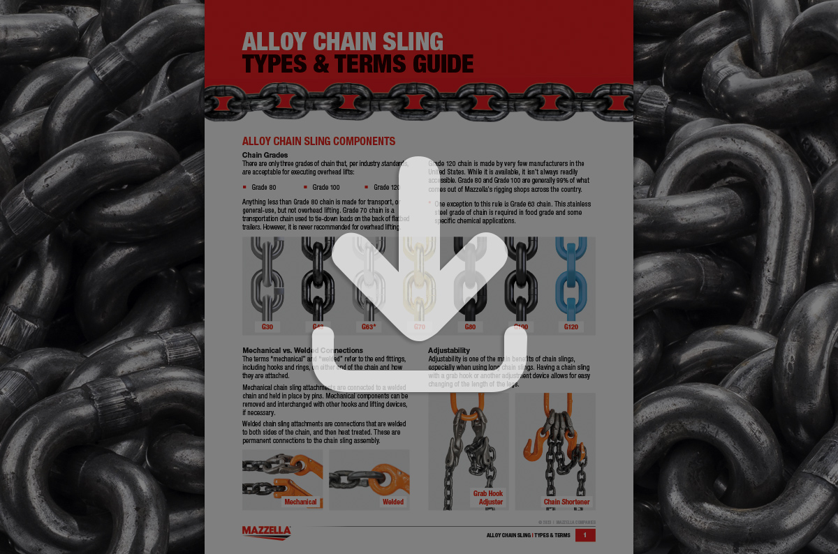 Alloy Chain Slings Types & Terms [Guide]