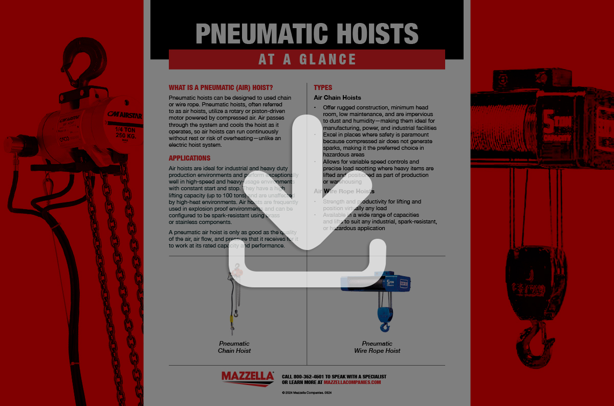 Pneumatic Hoists At A Glance