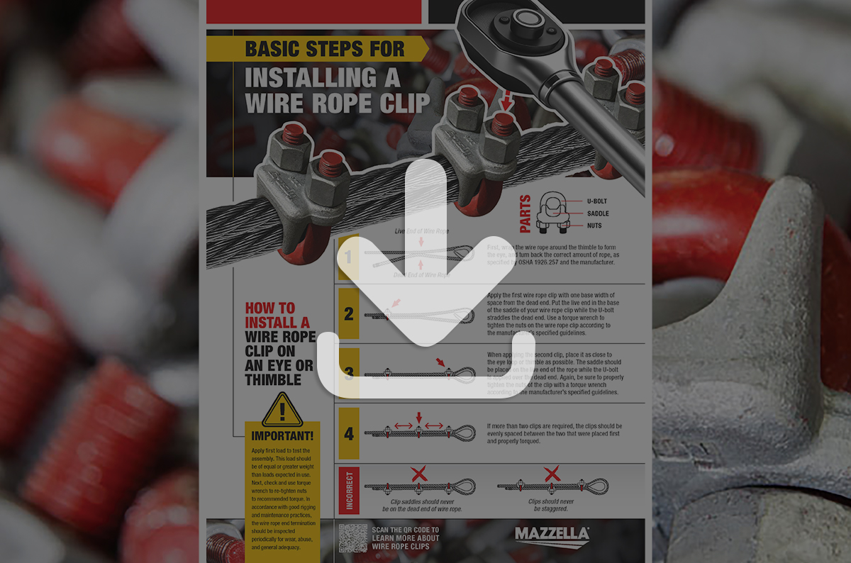 Wire Rope Clip Installation Guide [Infographic]