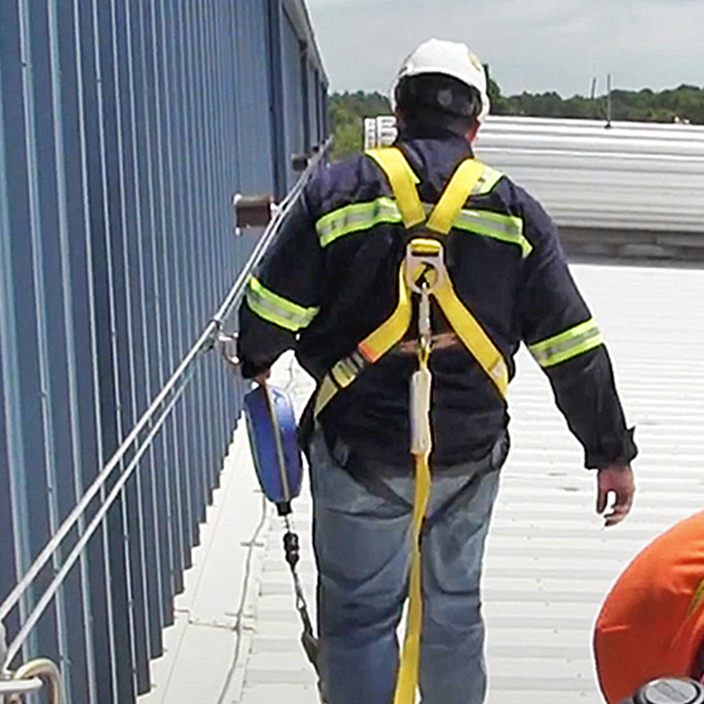 Pricing for Lifeline Inspections
