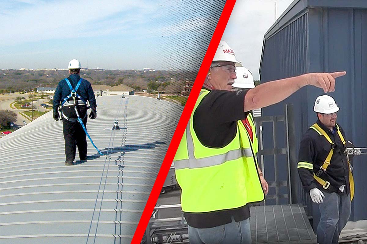 How Much Does a Lifeline Inspection Cost? 