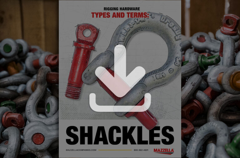 Shackles Types & Terms [Guide]